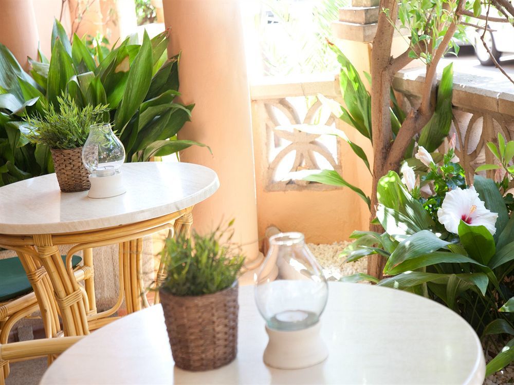 Hm Alma Beach - Adults Only Can Pastilla  Ngoại thất bức ảnh